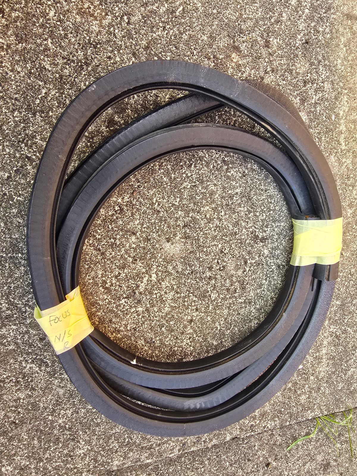 Ford Focus Mk1 Rear Passenger Side Door Rubber Seal 5dr